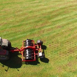 Biddy Trailed Aerator