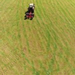 Biddy Trailed Aerator